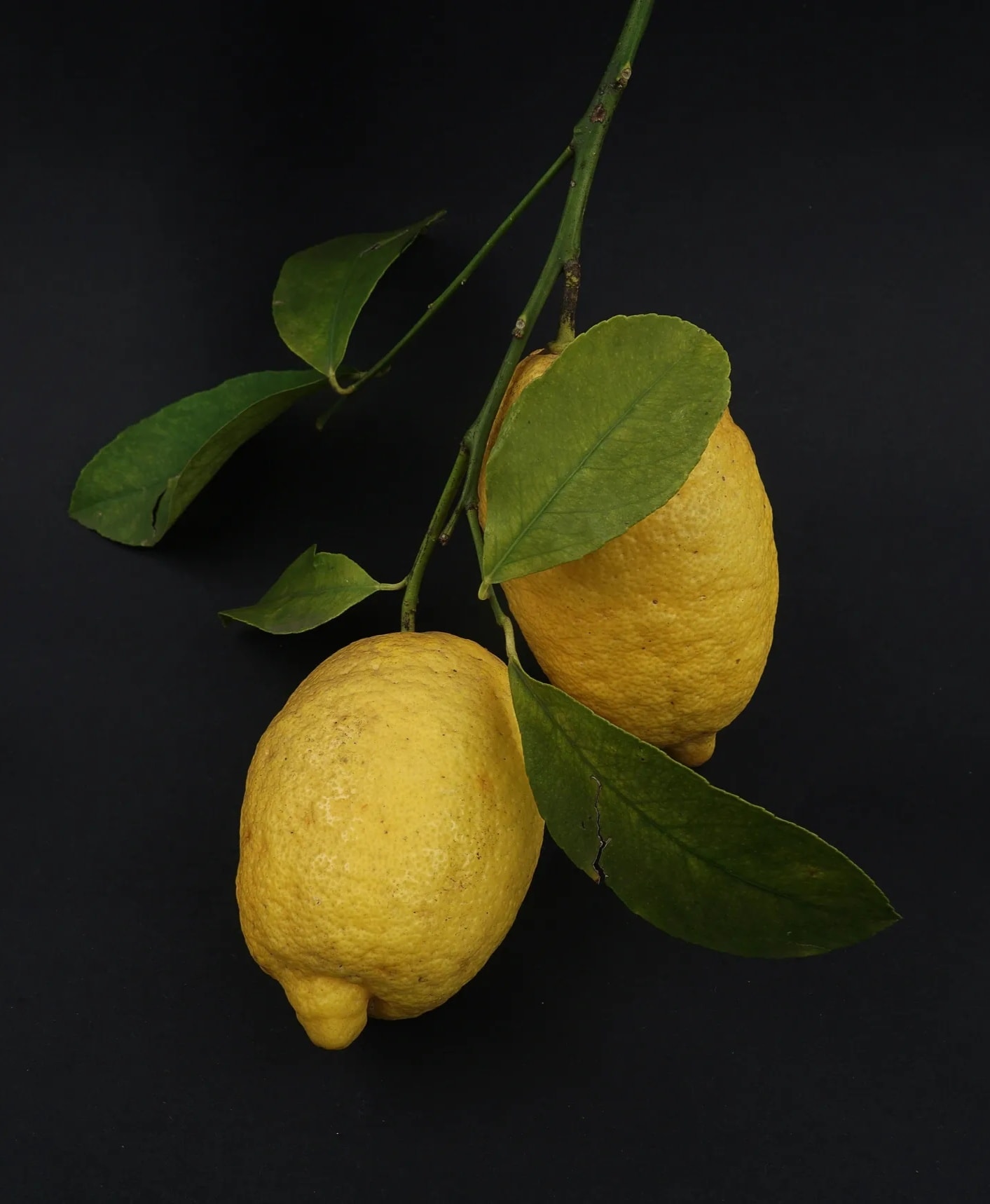 Making Lemonade — Single Parenting